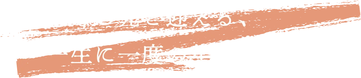 夜空を彩るフェスティバル