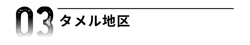 03 タメル地区